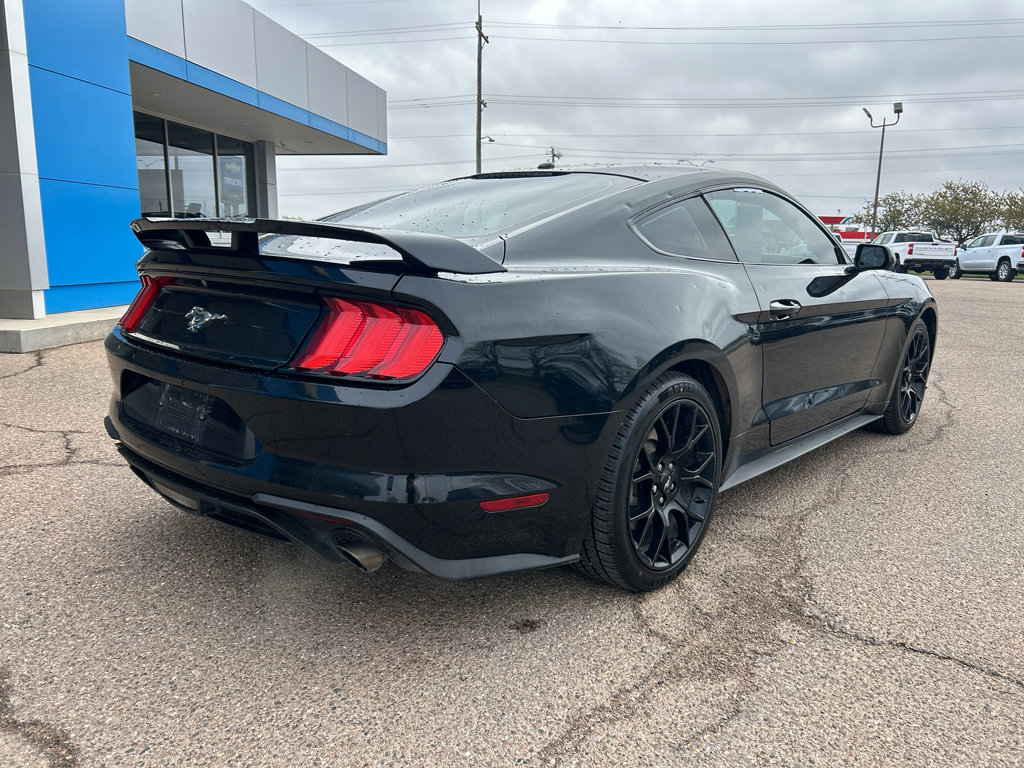 Used 2019 Ford Mustang Coupe w/ Ecoboost Performance Package RWD image 2