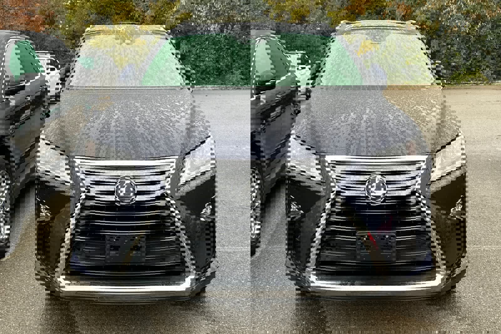 Used 2019 Lexus RX 350L w/ Premium Package image 6