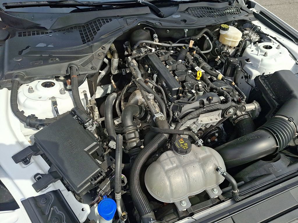 Used 2023 Ford Mustang EcoBoost w/ Mustang Nite Pony Package image 27