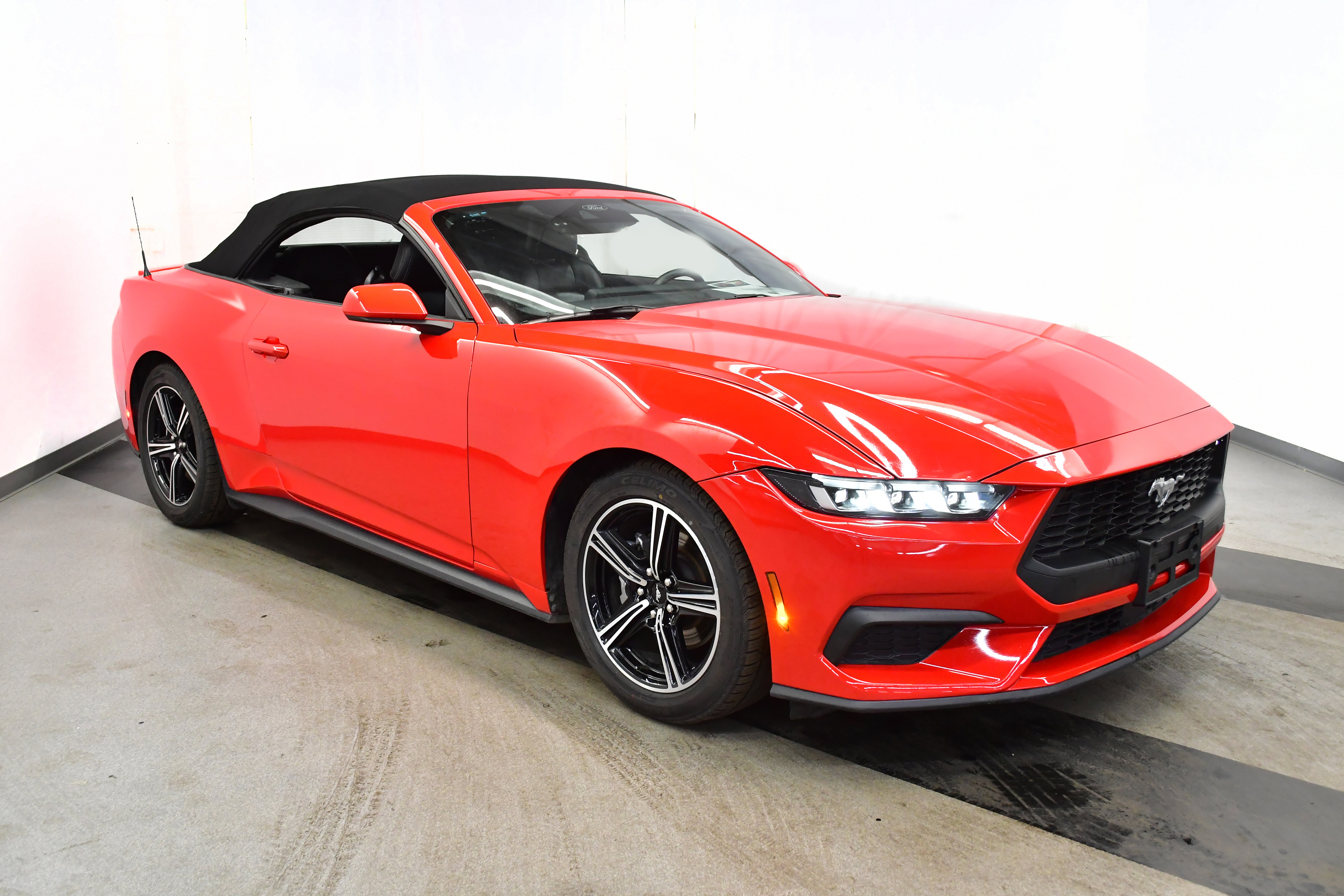 Used 2024 Ford Mustang Premium image 2