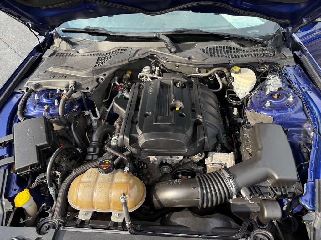 Used 2015 Ford Mustang Premium w/ Equipment Group 201A image 34