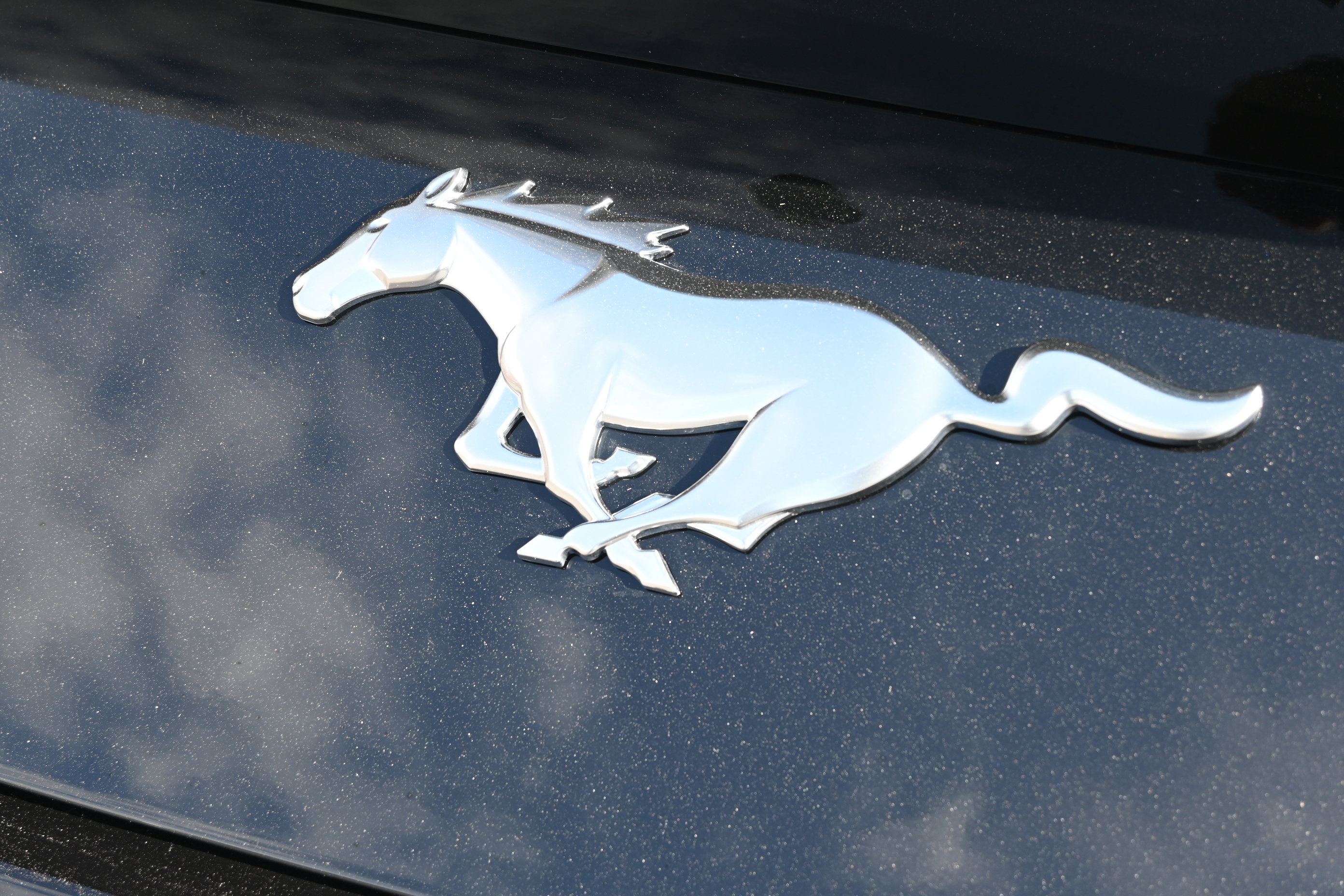 New 2026 Ford Mustang EcoBoost image 6