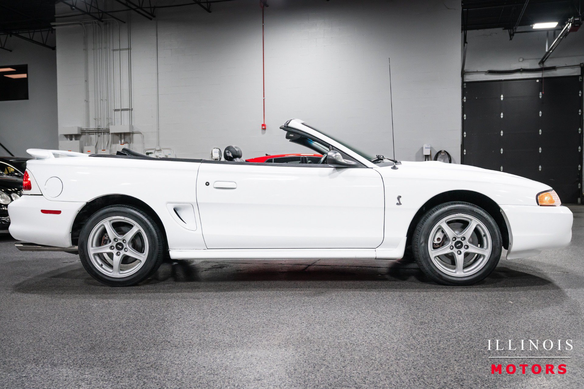 Used 1998 Ford Mustang Cobra RWD image 6