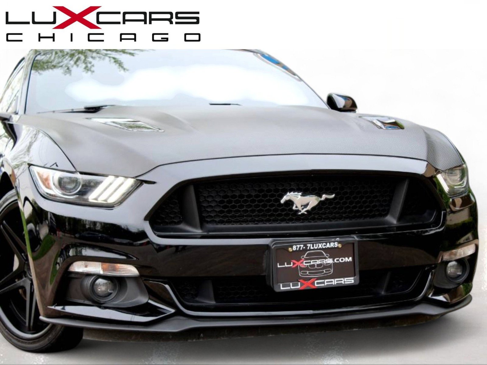 Used 2016 Ford Mustang GT w/ Enhanced Security Package RWD image 2
