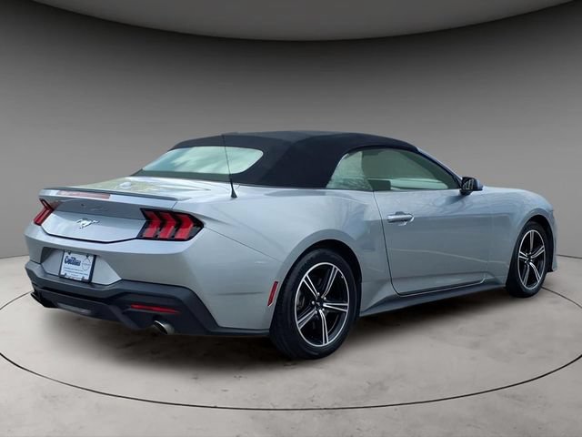 Used 2024 Ford Mustang Premium RWD image 8