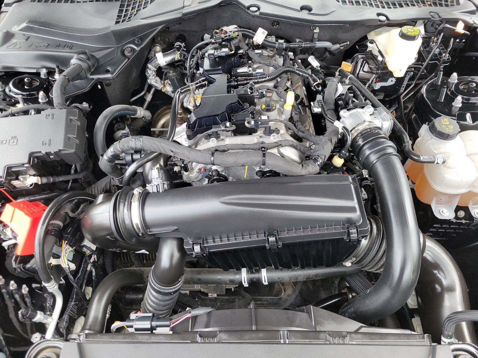 Certified 2024 Ford Mustang Premium image 30