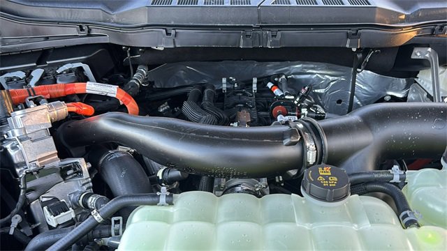 New 2025 Ford F150 XLT w/ Equipment Group 302A MID image 30