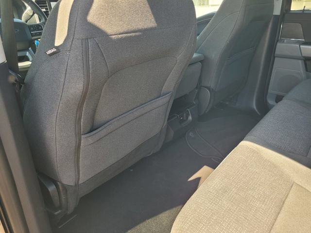 Used 2025 Ford F150 XLT w/ Equipment Group 301A Standard AWD/4WD image 14