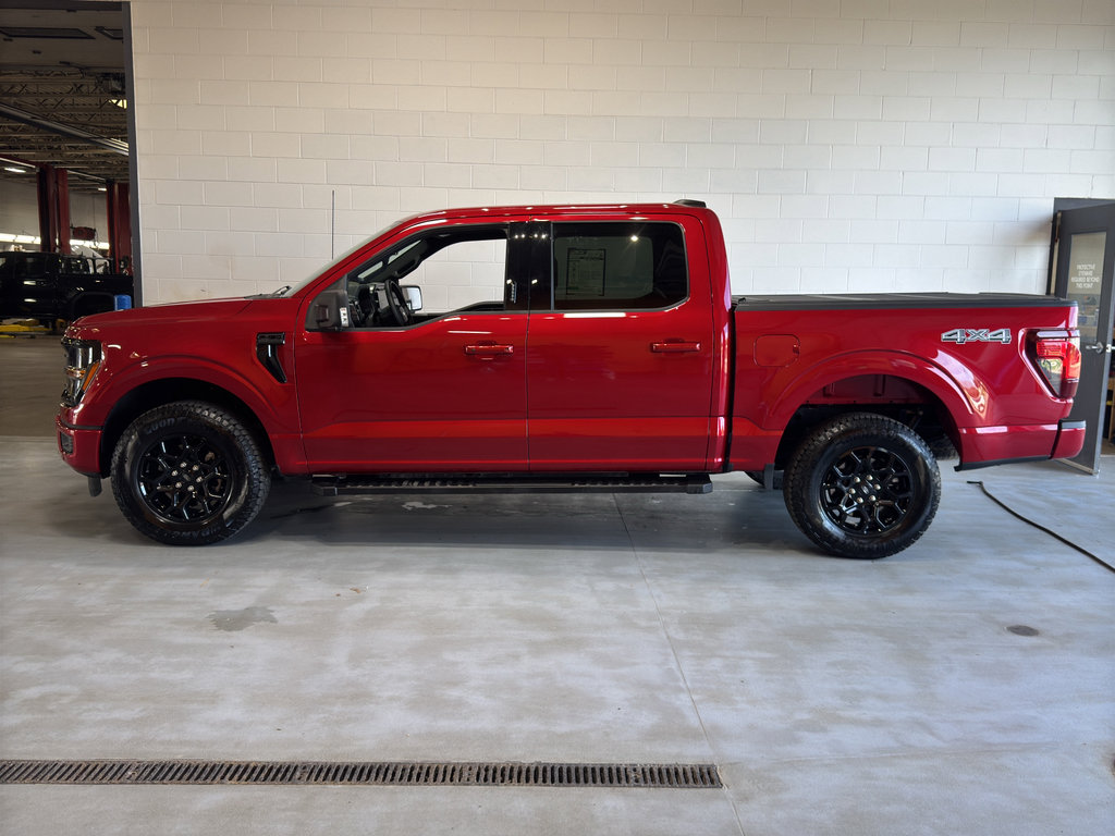 Used 2024 Ford F150 XLT w/ Equipment Group 302A MID image 2