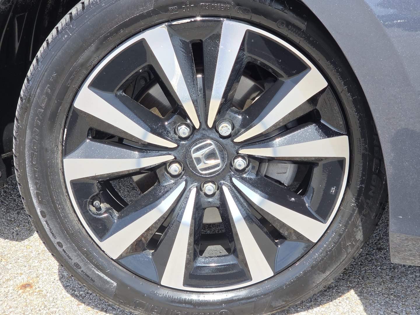 Used 2024 Honda Civic EX-L image 11