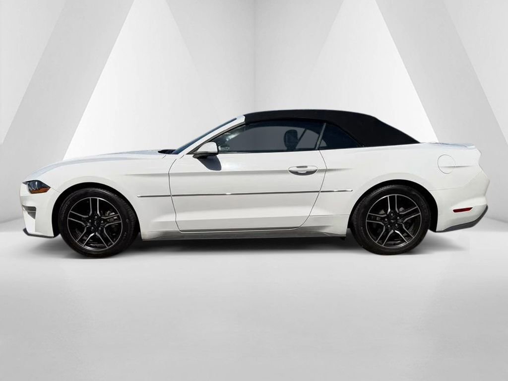 Used 2022 Ford Mustang Premium image 4