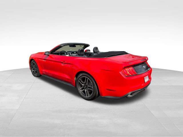 Used 2023 Ford Mustang Premium image 13