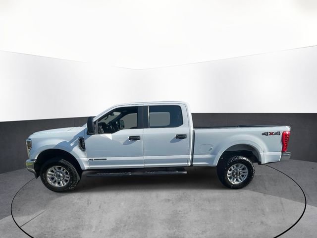 Used 2019 Ford F250 XL w/ STX Appearance Package AWD/4WD image 4