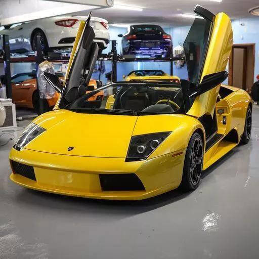 Used 2005 Lamborghini Murcielago Roadster