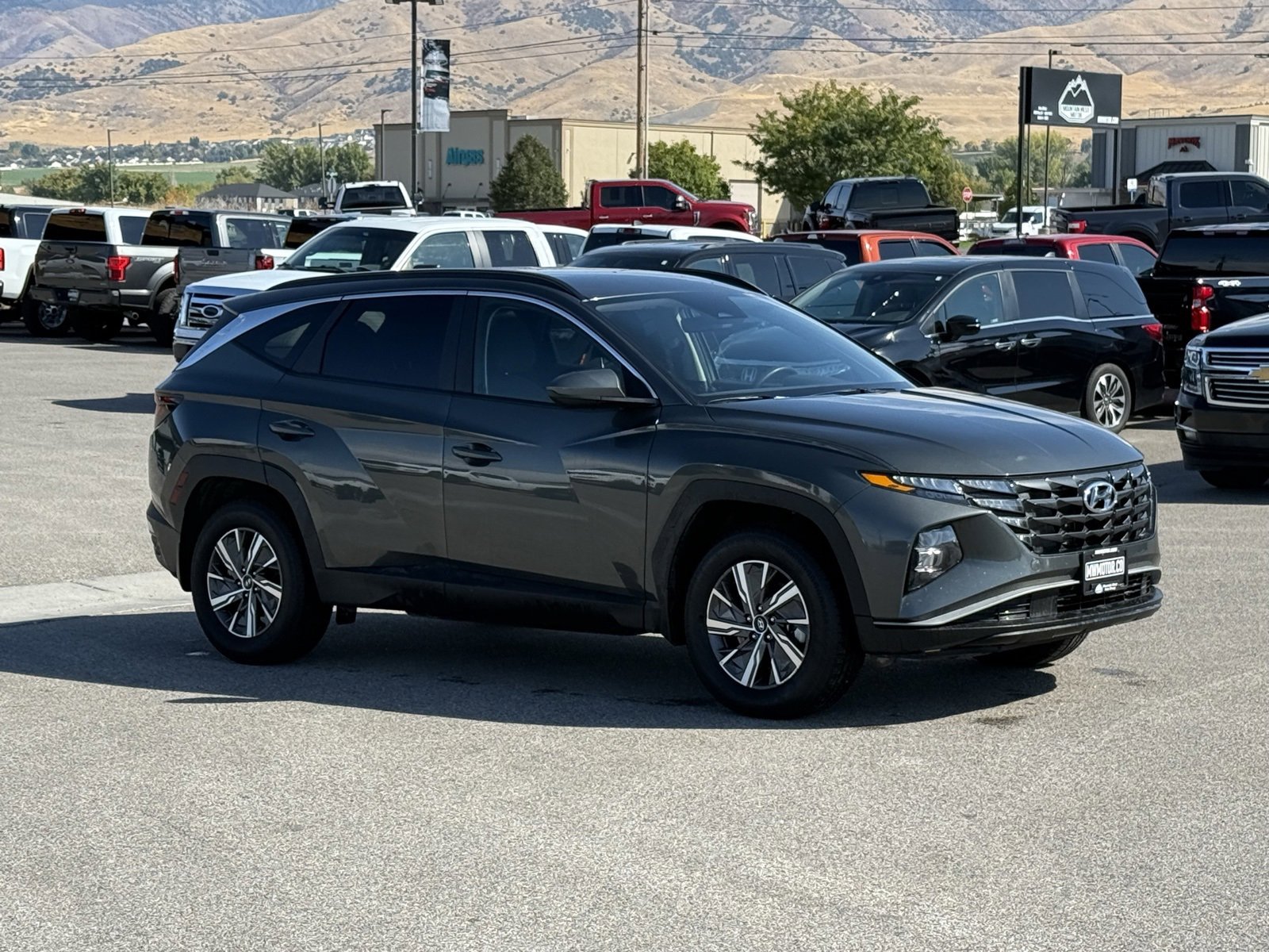 Used 2024 Hyundai Tucson Blue image 3