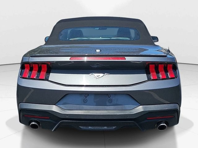Used 2024 Ford Mustang Premium RWD image 4