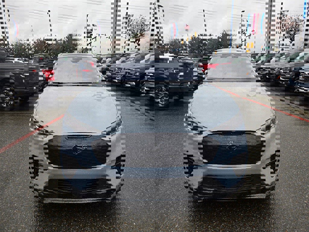 New 2025 Ford Mustang Mach-E GT w/ Interior Protection Package image 2