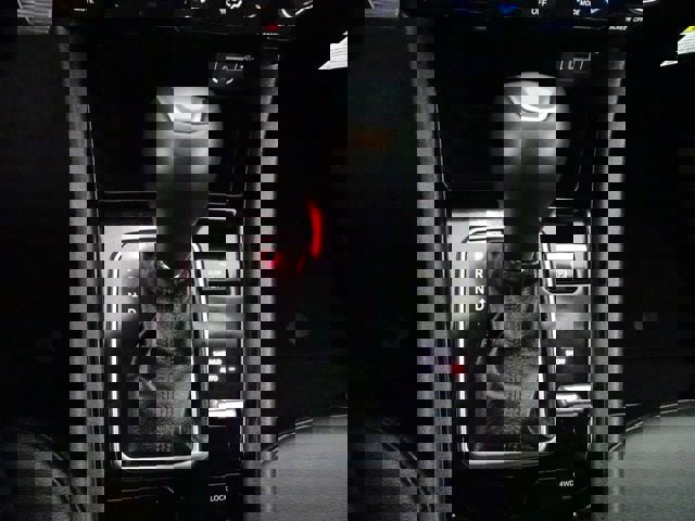 Certified 2025 Jeep Compass Limited image 11