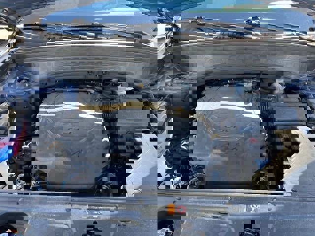 Used 2024 Kia Telluride S w/ S Sunroof Package image 5