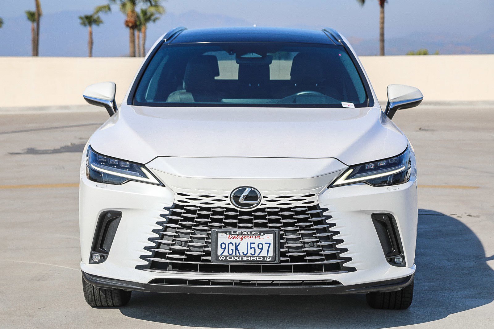 Used 2023 Lexus RX 350 FWD w/ Cold Area Package image 2