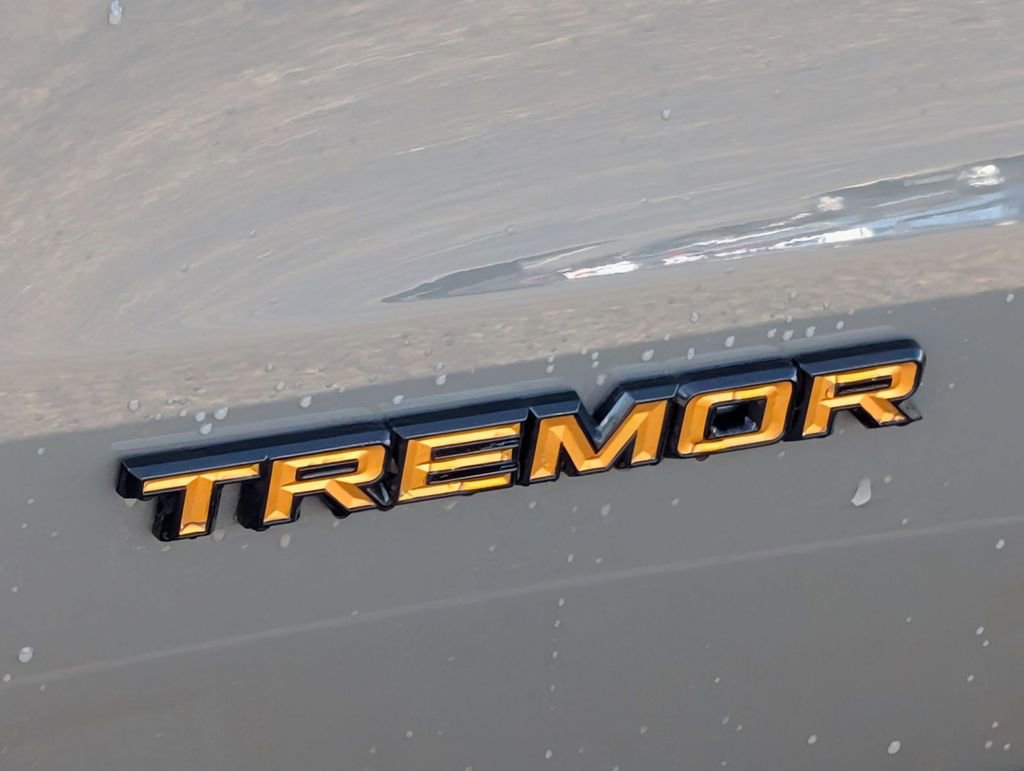 New 2026 Ford Expedition Tremor image 14