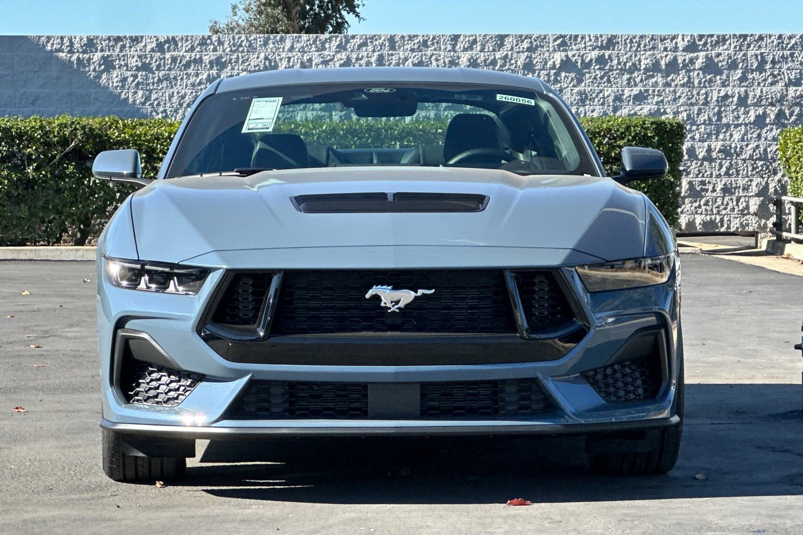 New 2026 Ford Mustang GT image 9