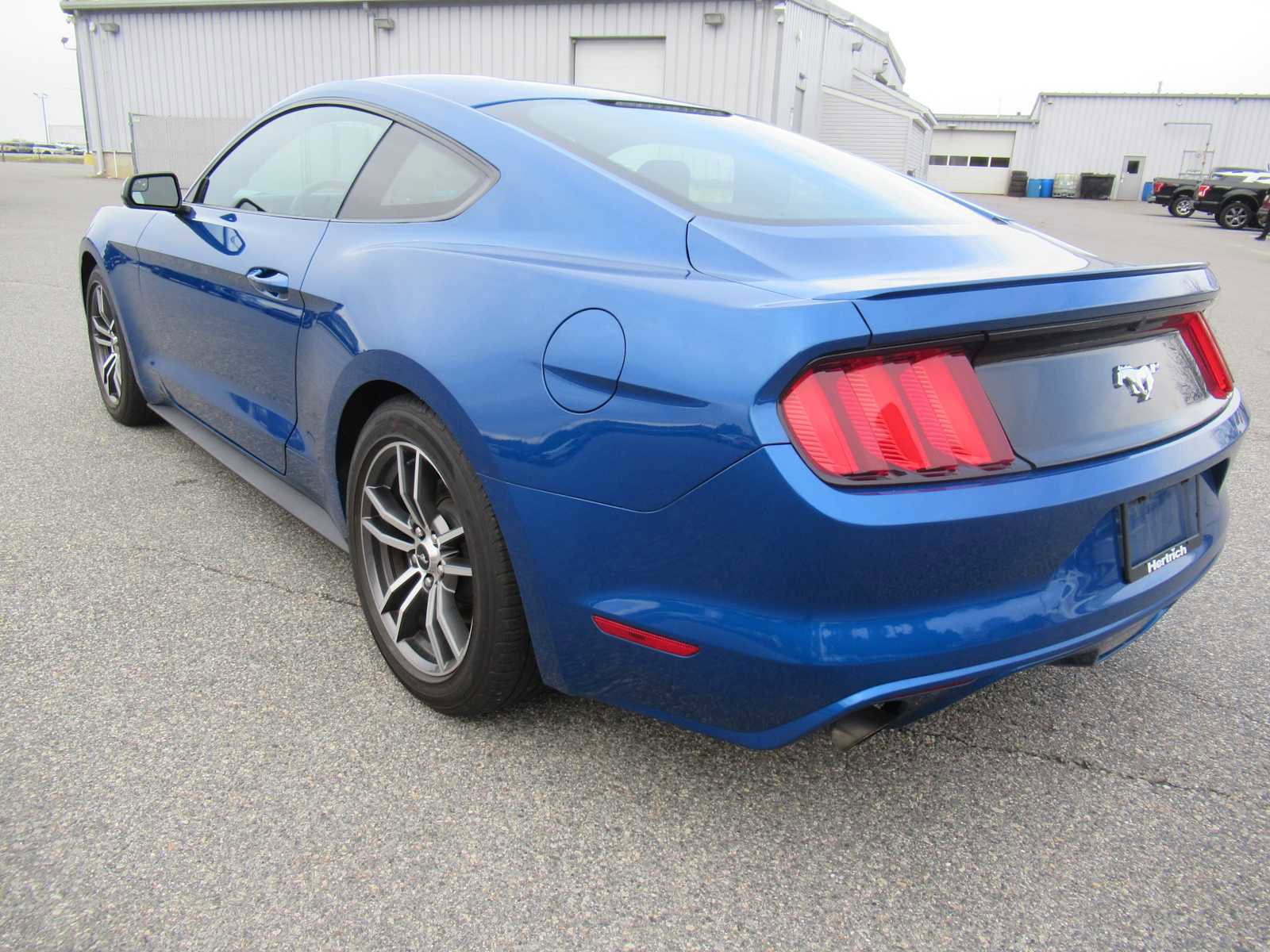 Used 2017 Ford Mustang EcoBoost image 7