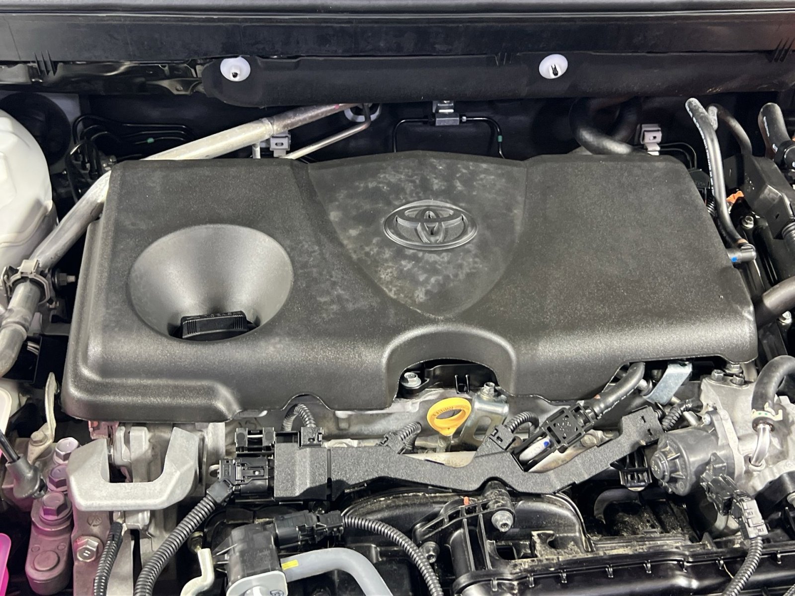 Used 2025 Toyota RAV4 XLE AWD/4WD image 30