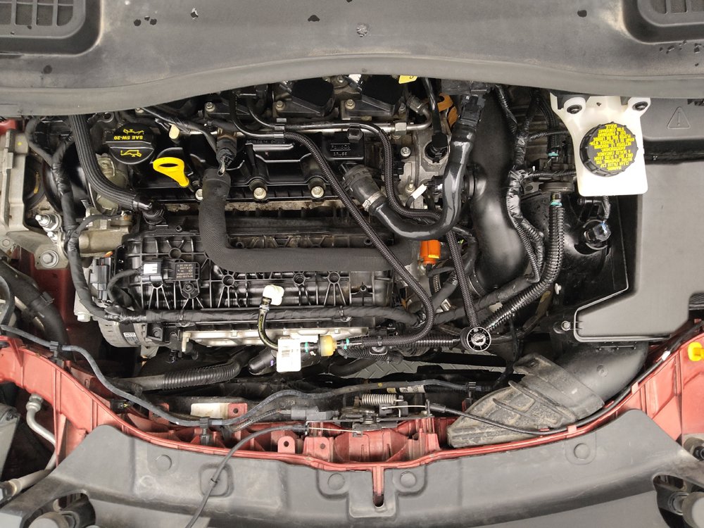 Used 2019 Ford Escape SEL FWD image 30
