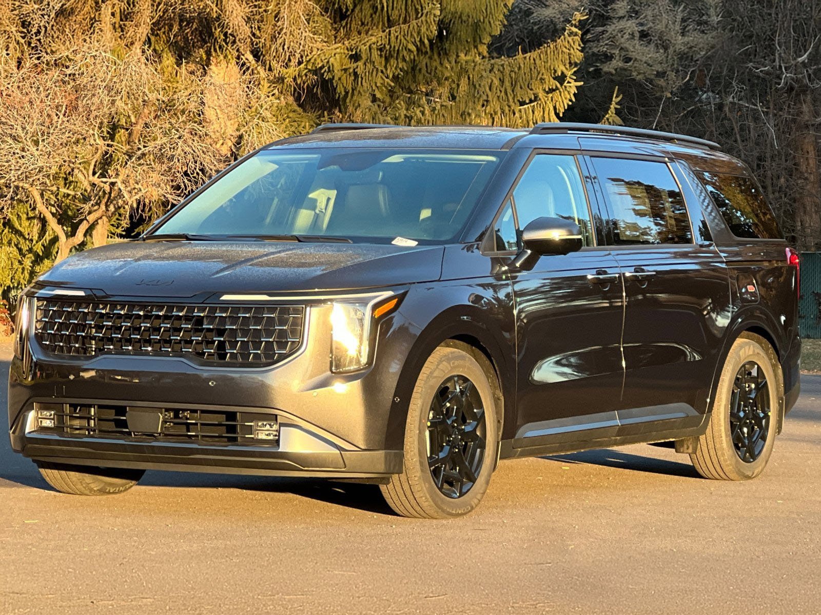 New 2025 Kia Carnival SX image 8