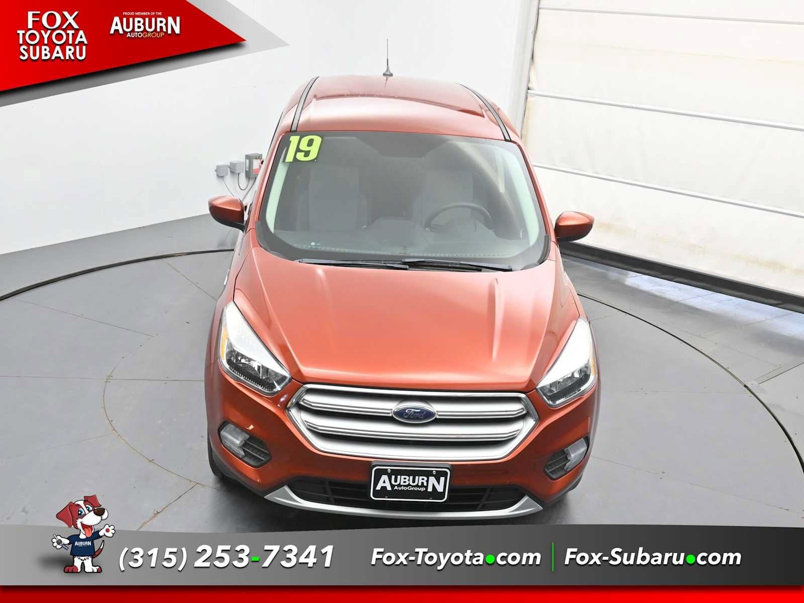 Used 2019 Ford Escape SE AWD/4WD image 32