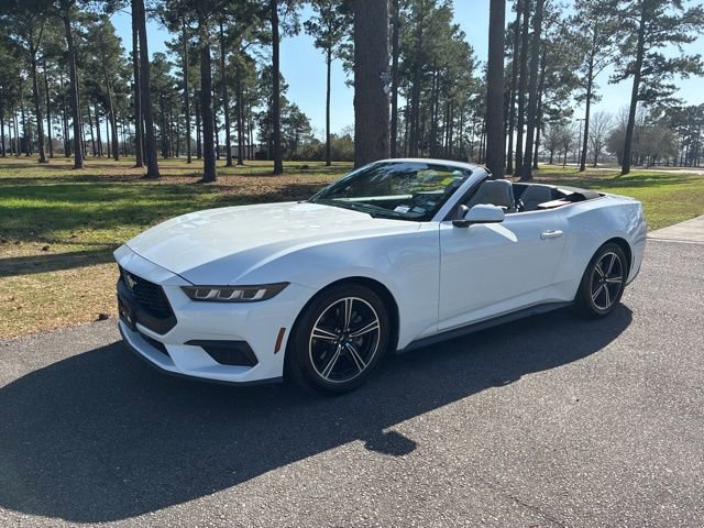 Used 2024 Ford Mustang Premium image 6