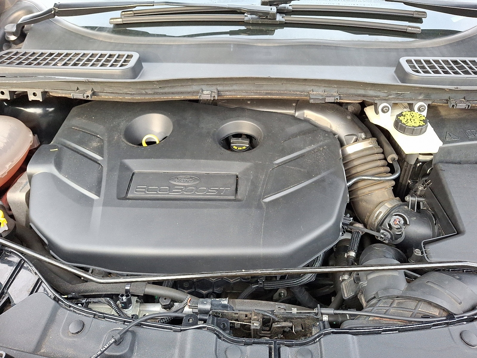 Used 2019 Ford Escape Titanium image 29