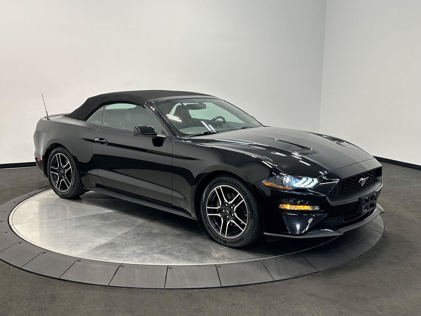 Used 2019 Ford Mustang Premium RWD image 2