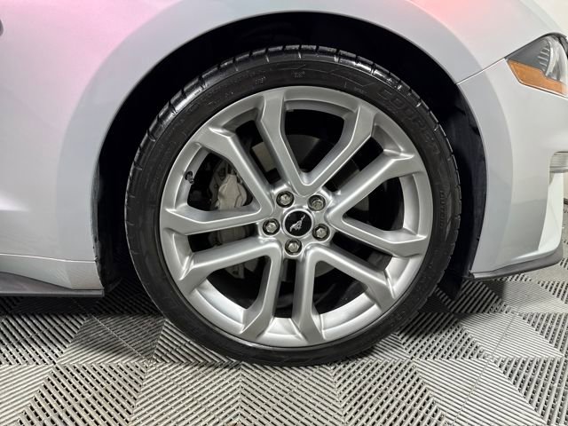 Used 2019 Ford Mustang GT Premium w/ Equipment Group 401A image 11