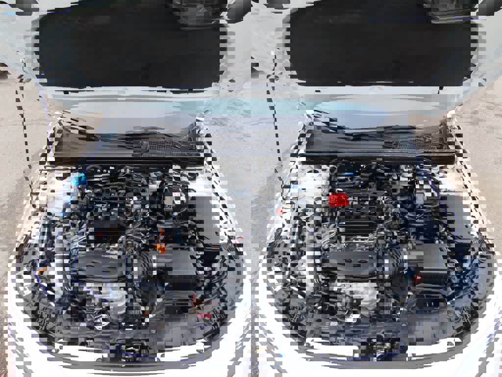 Certified 2024 Honda Civic Touring image 10