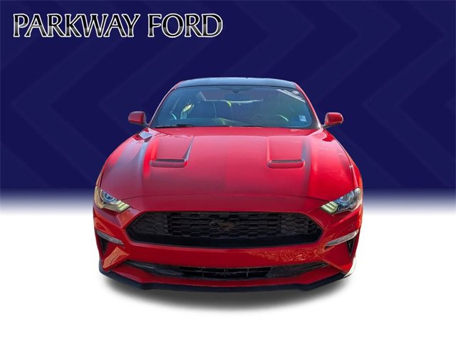 Used 2019 Ford Mustang EcoBoost w/ Black Accent Package image 2