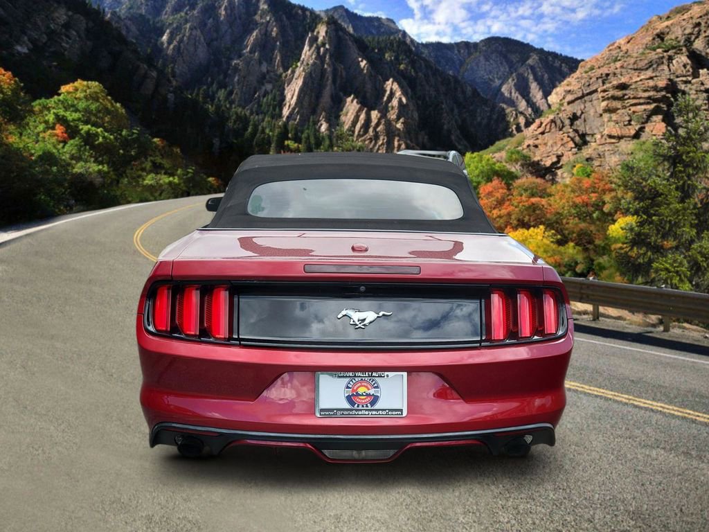 Used 2017 Ford Mustang Premium RWD image 4