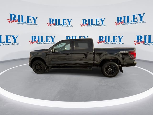 New 2026 Ford F150 XLT w/ Equipment Group 302A MID image 5