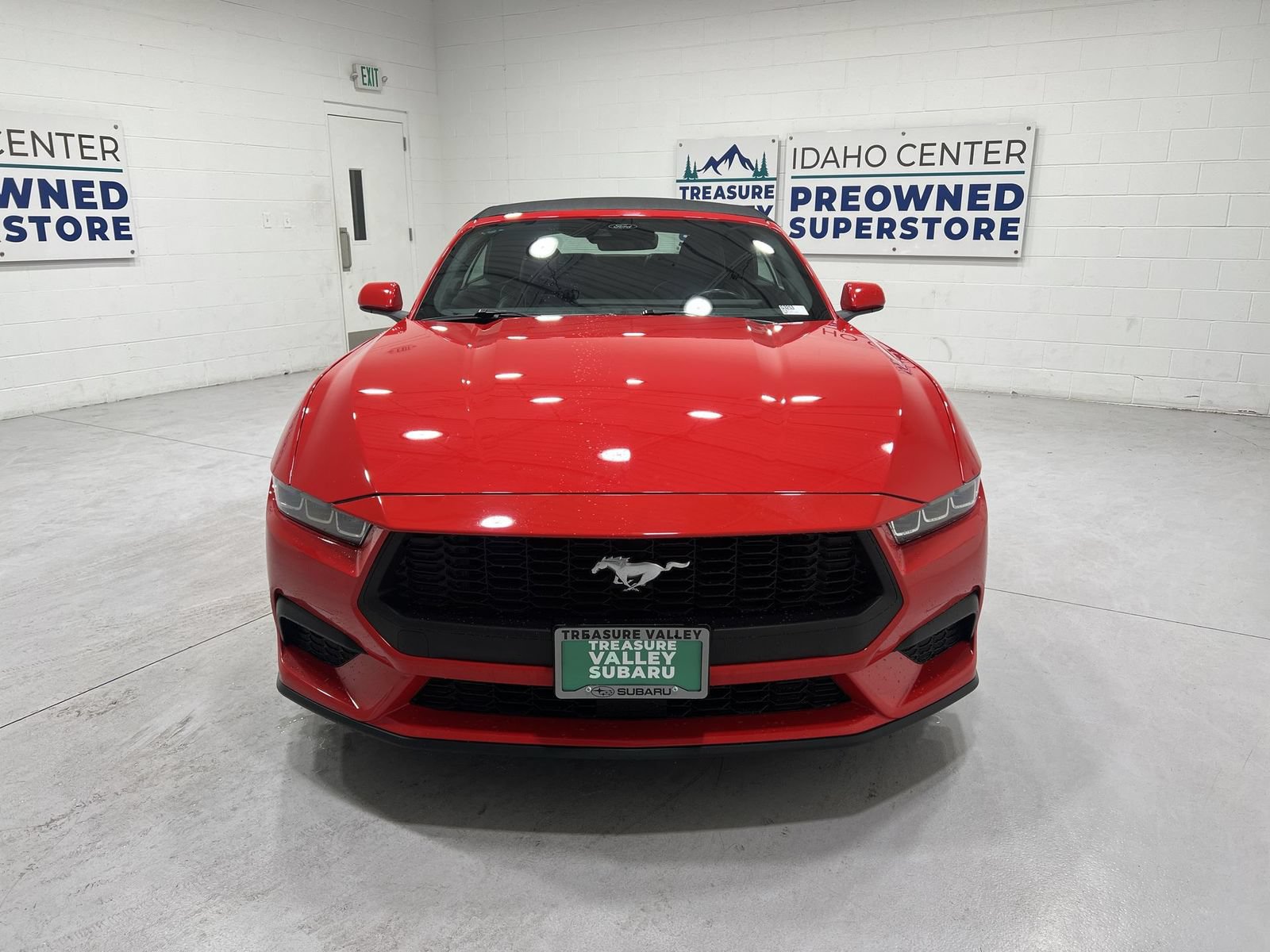 Used 2024 Ford Mustang Premium RWD image 3