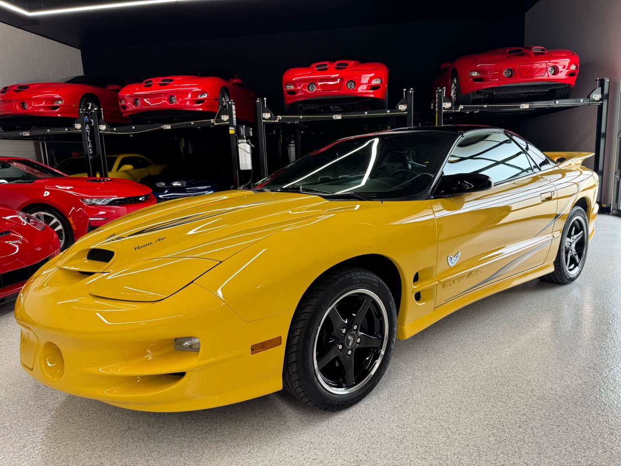 Used 2002 Pontiac Firebird Trans Am RWD image 6