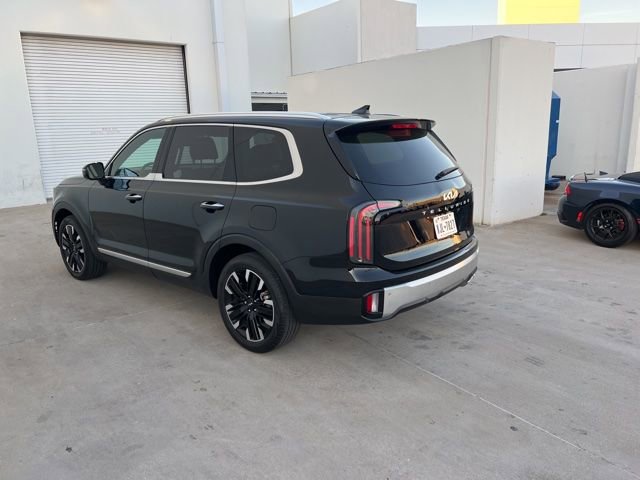 Used 2024 Kia Telluride SX image 7