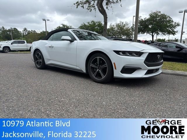 Used 2024 Ford Mustang Premium RWD image 1