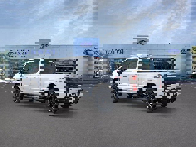 New 2026 Ford F250 Platinum image 4