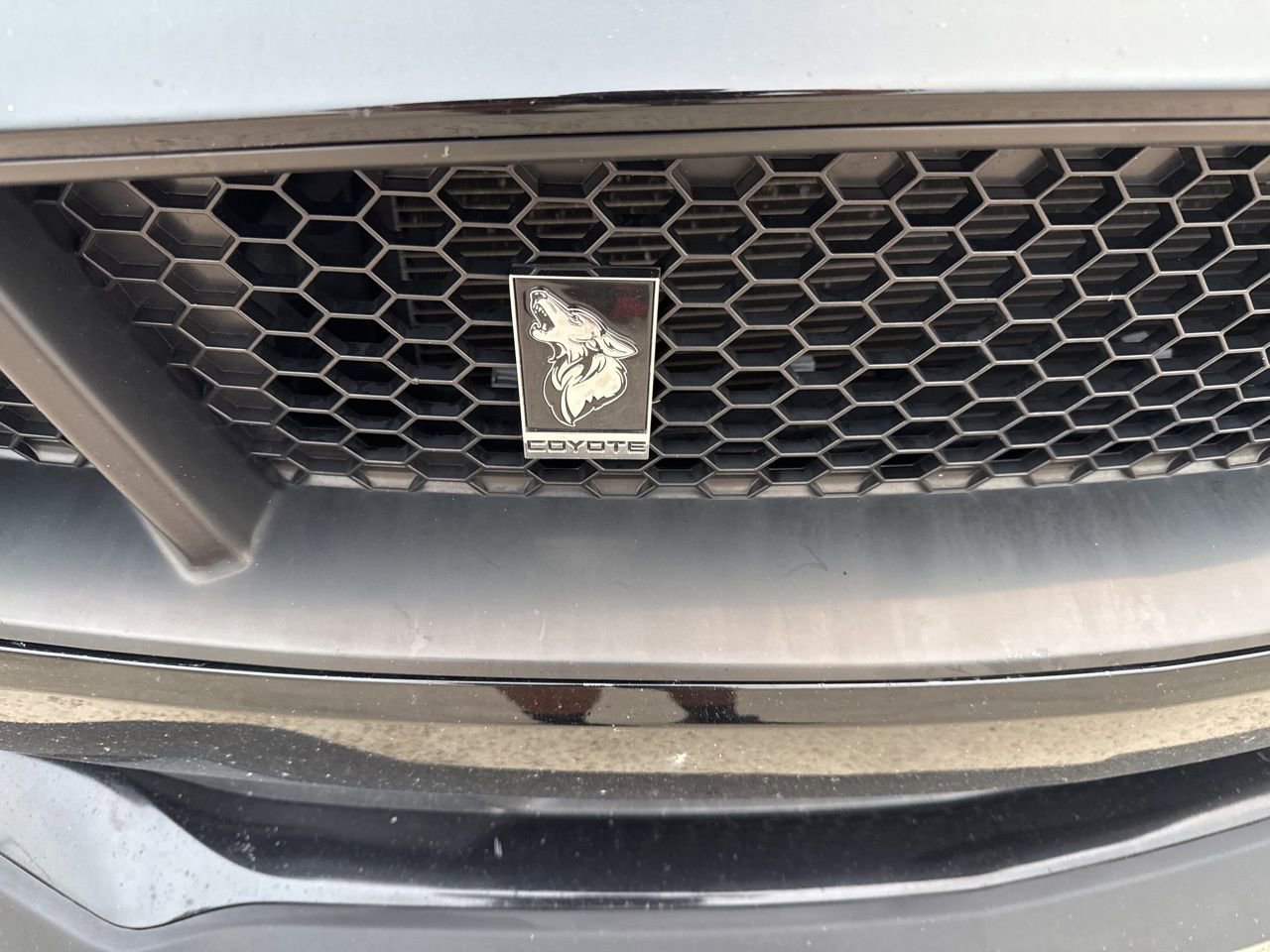 Used 2019 Ford Mustang GT Premium w/ GT Performance Package image 14