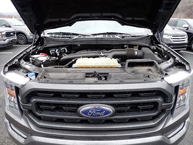 Used 2022 Ford F150 XLT w/ Equipment Group 302A High image 16