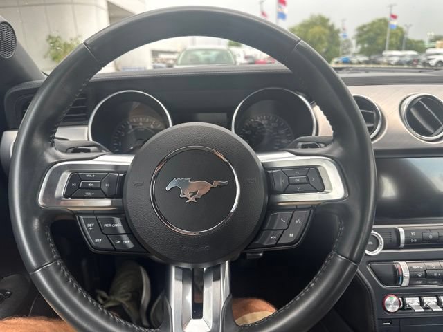 Used 2023 Ford Mustang GT w/ Equipment Group 301A RWD image 24