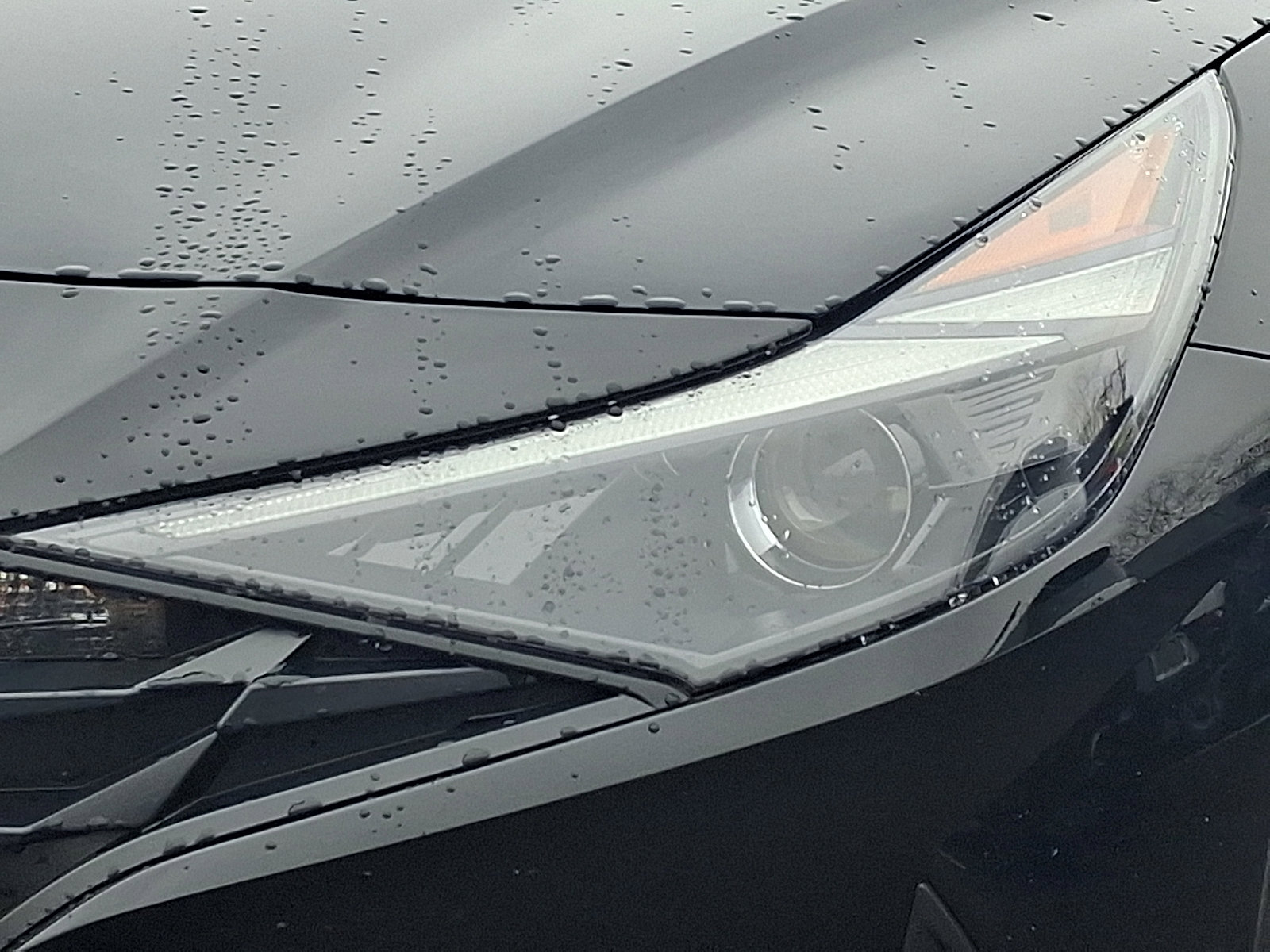 Certified 2023 Hyundai Elantra SEL w/ Convenience Package image 9