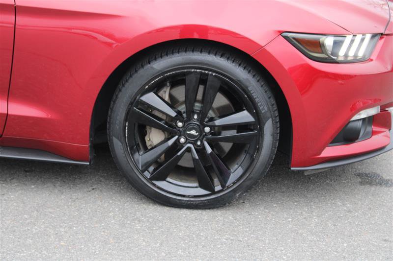 Used 2017 Ford Mustang Coupe w/ Ecoboost Performance Package image 10