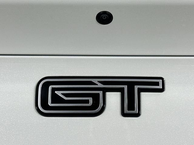New 2025 Ford Mustang Mach-E GT w/ Interior Protection Package image 8